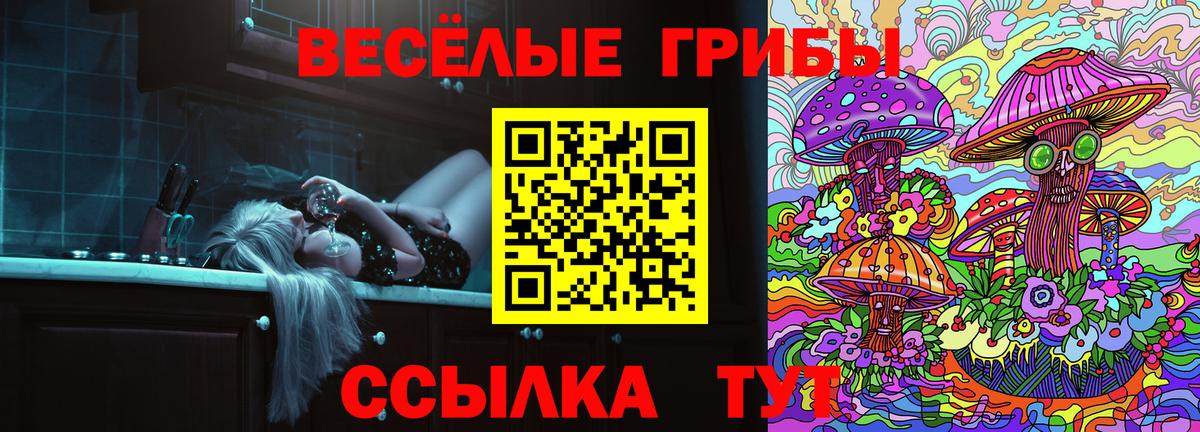 Галлюциногенные грибы мухоморы Грозный
