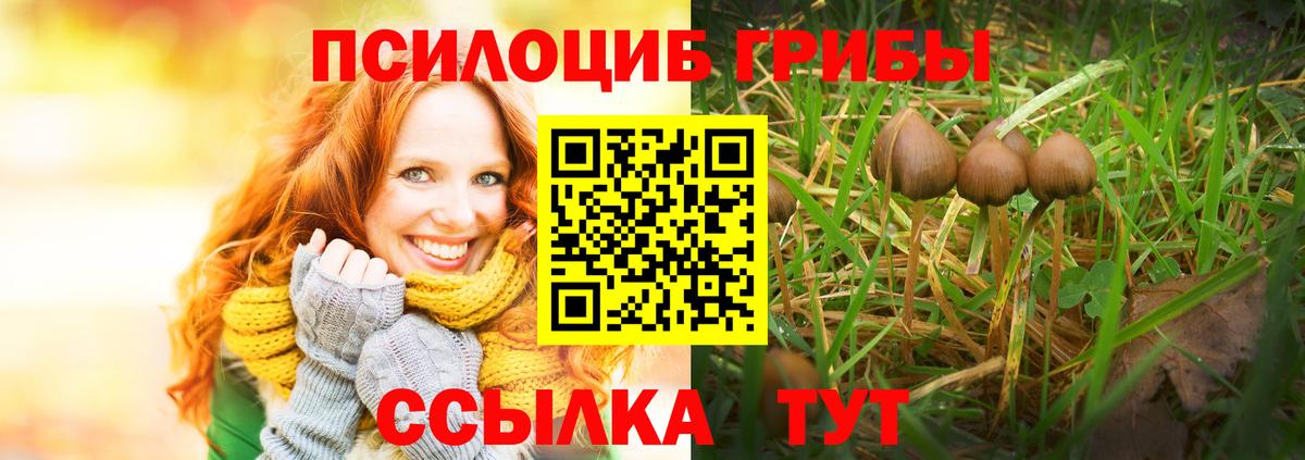 Грозный  Псилоцибиновые грибы мицелий  как найти закладки  Вход с VPN 